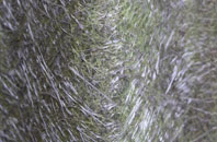 Gibshill fibreglass roof work